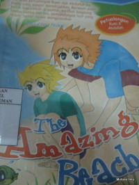 Image of The Amazing Beach